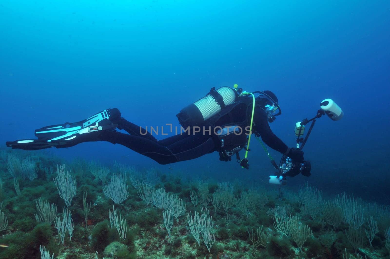 Underwater Photographer