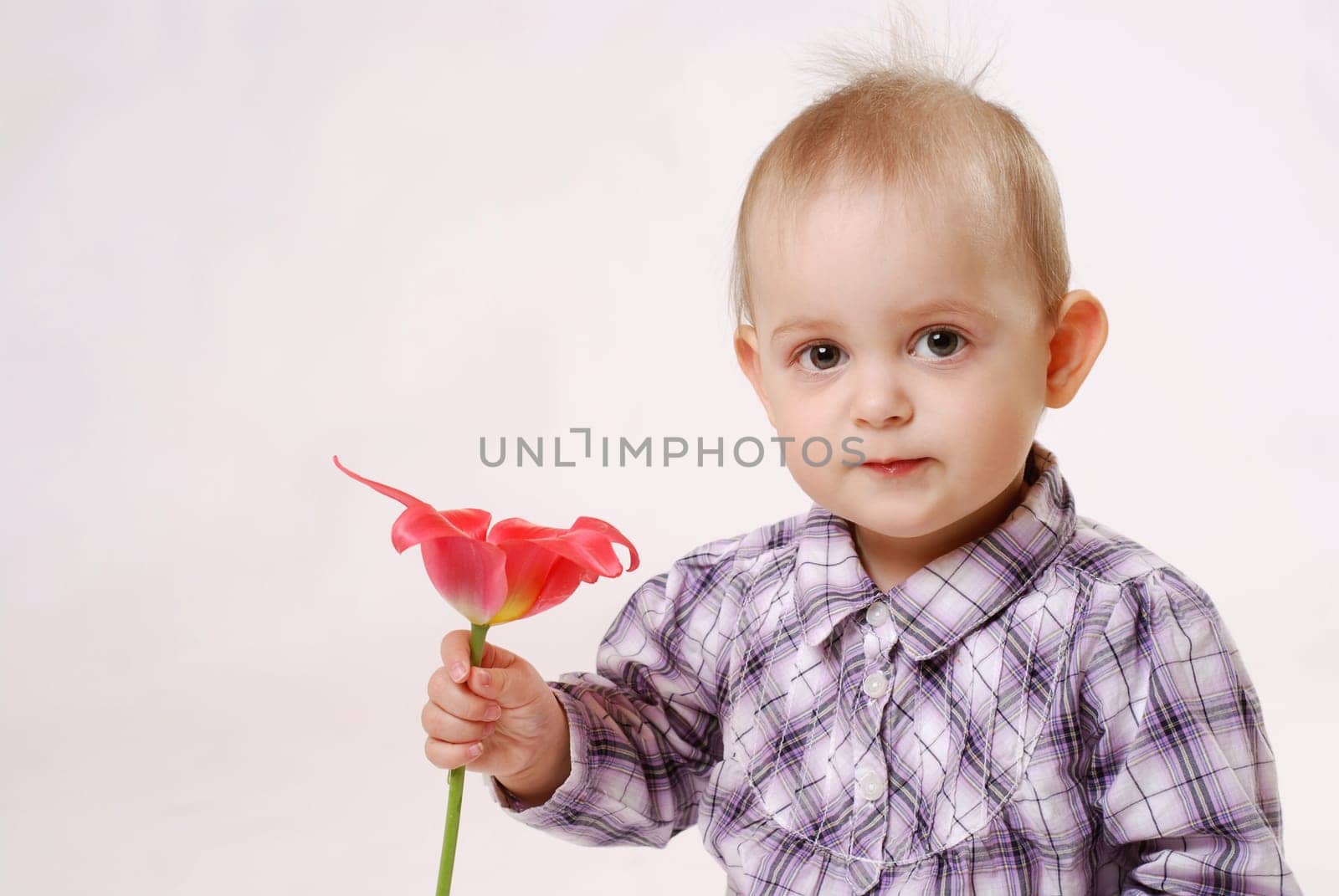 Girl in tulip
