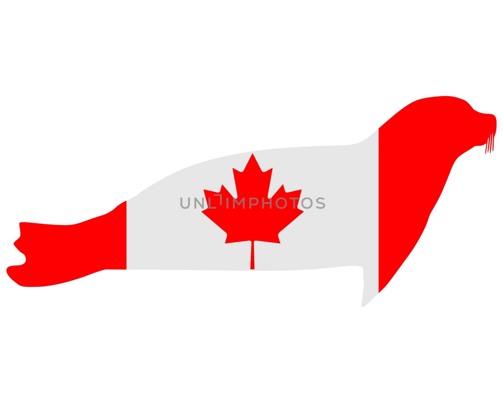 Canadian Seal