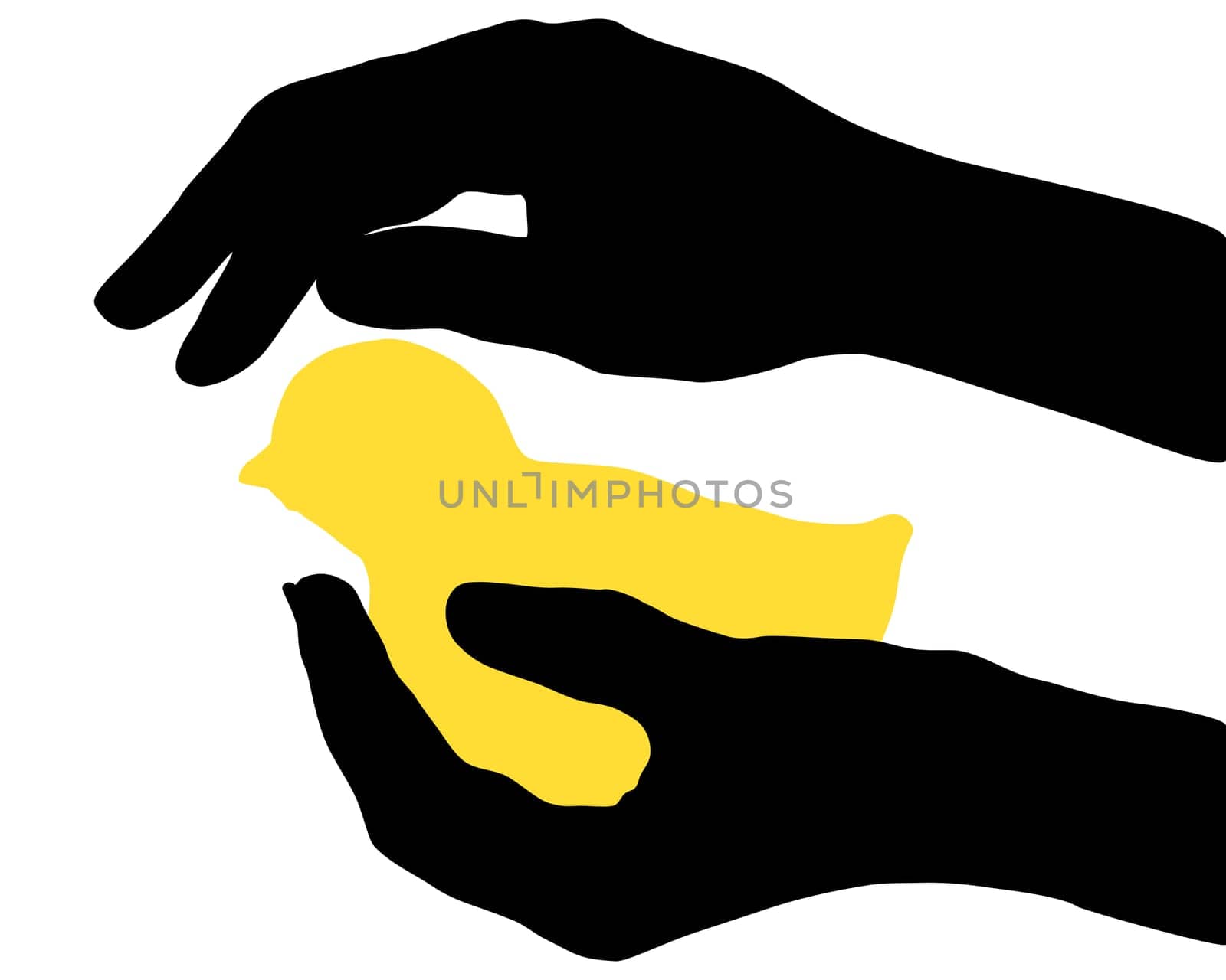 Hands with chicks