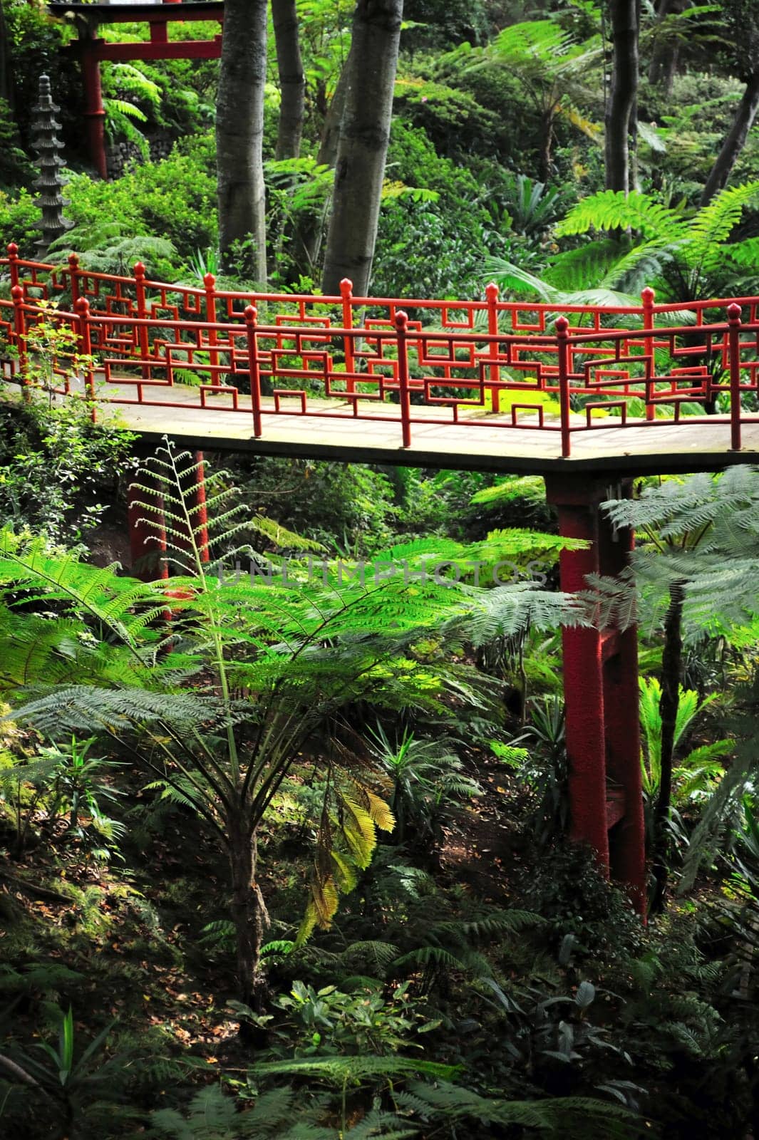 Monte Palace Tropical Garden - Madeira