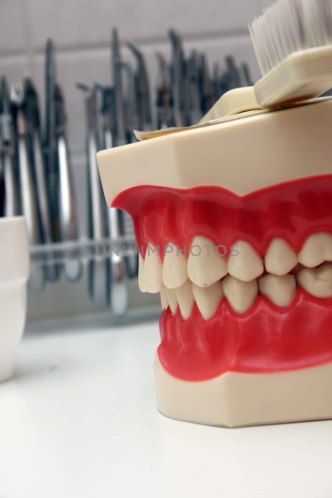 Denture model with toothbrush