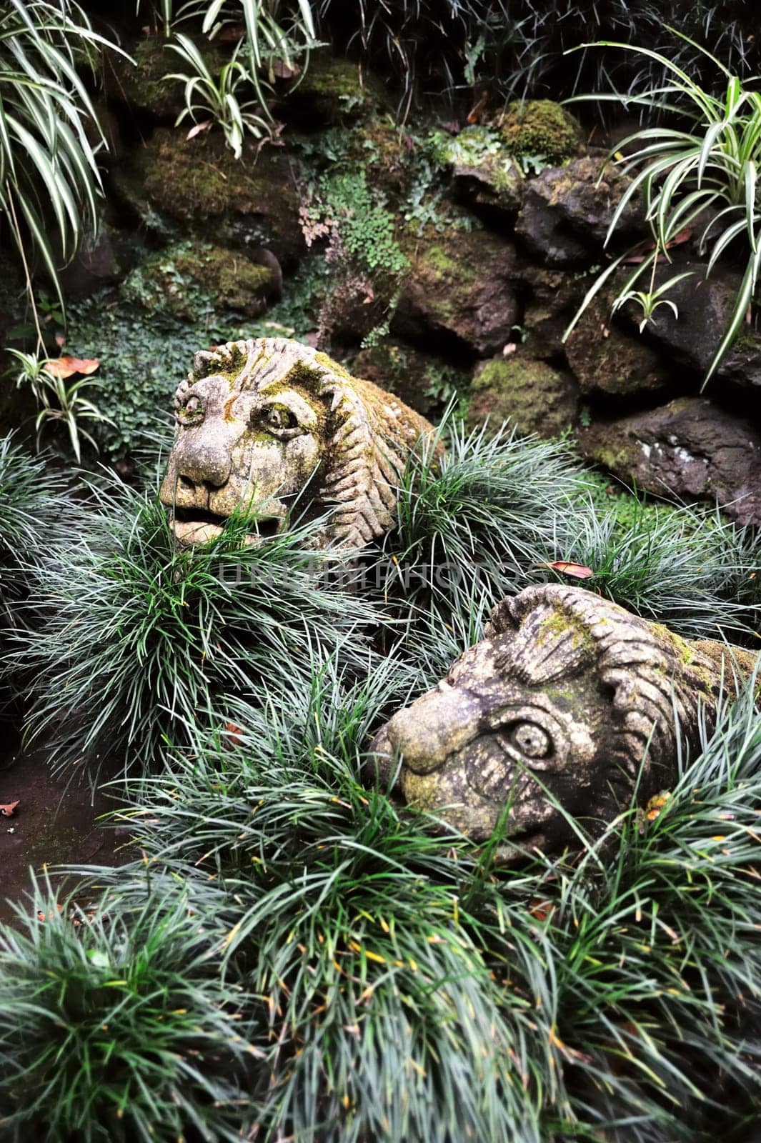 Monte Palace Tropical Garden Monte, Madeira