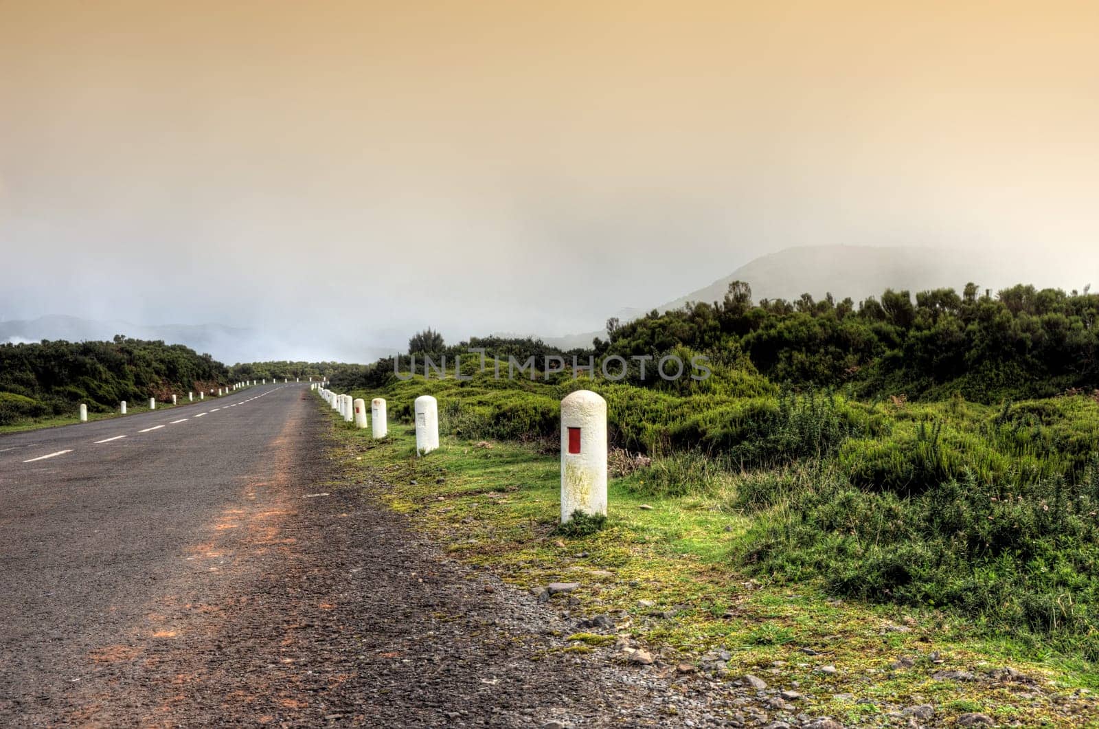 Road in Plateau of Parque natural de Madeira, Madeira island, Portugal