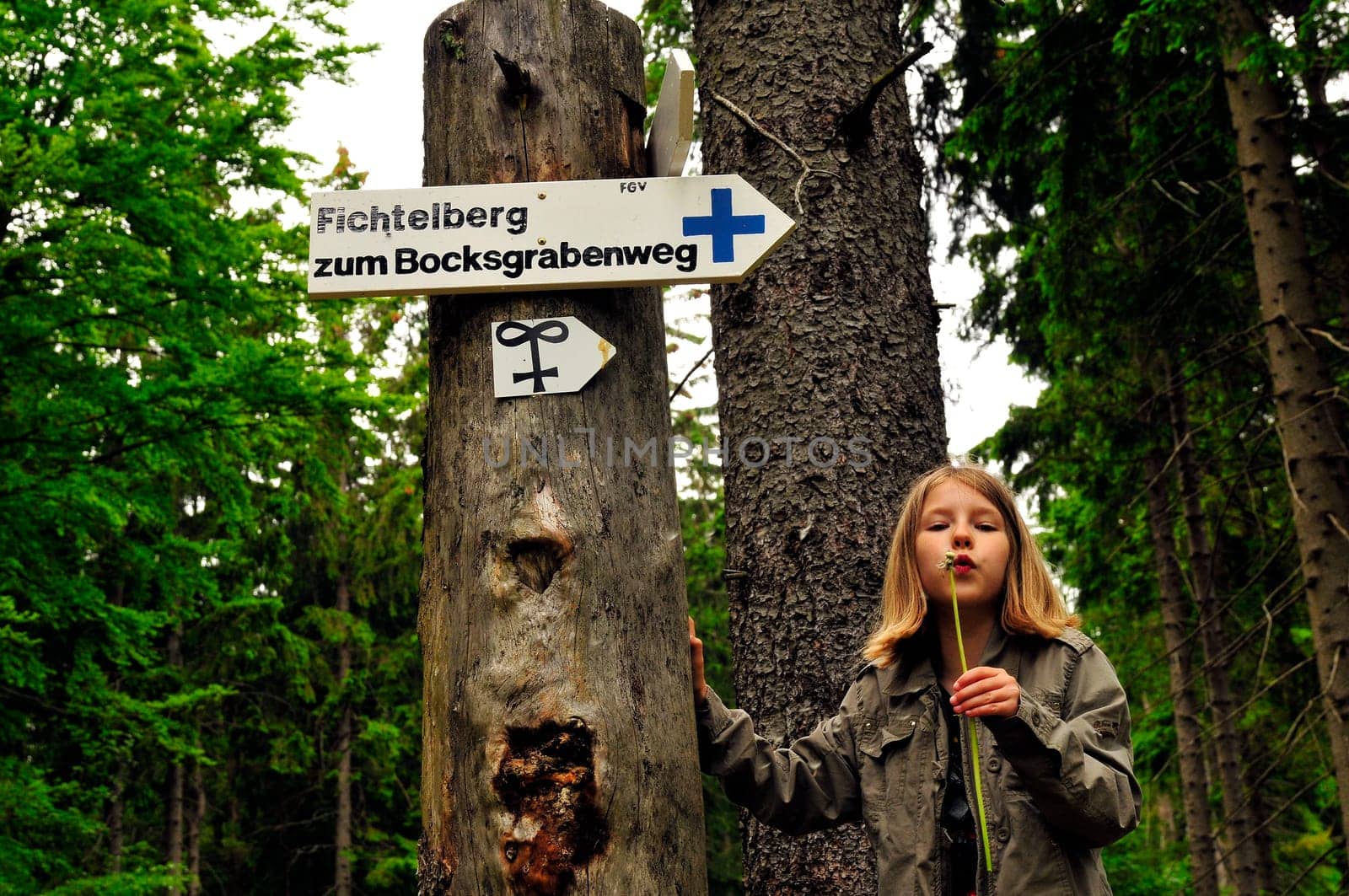 Child Forest Hiking Sign