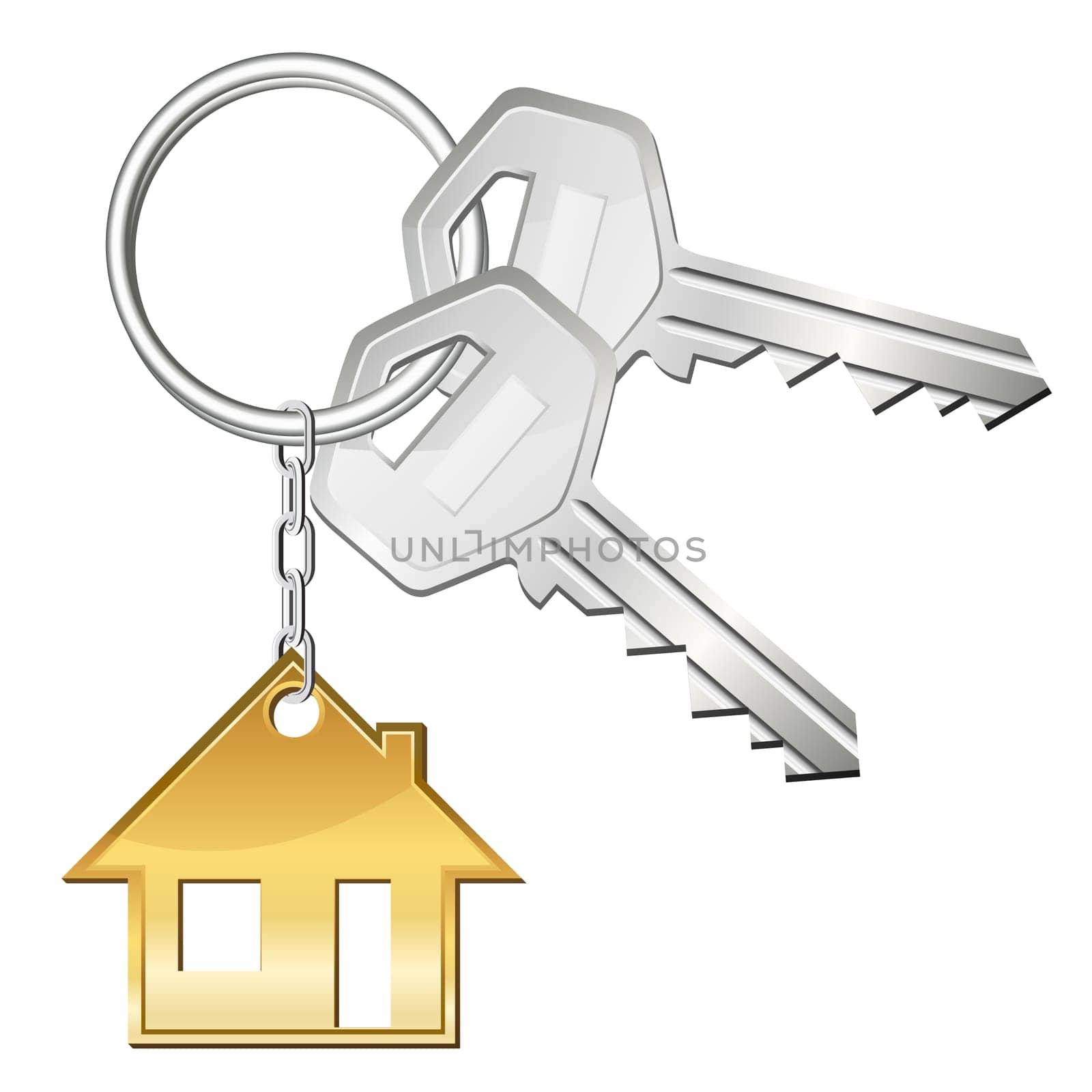 Keys for home