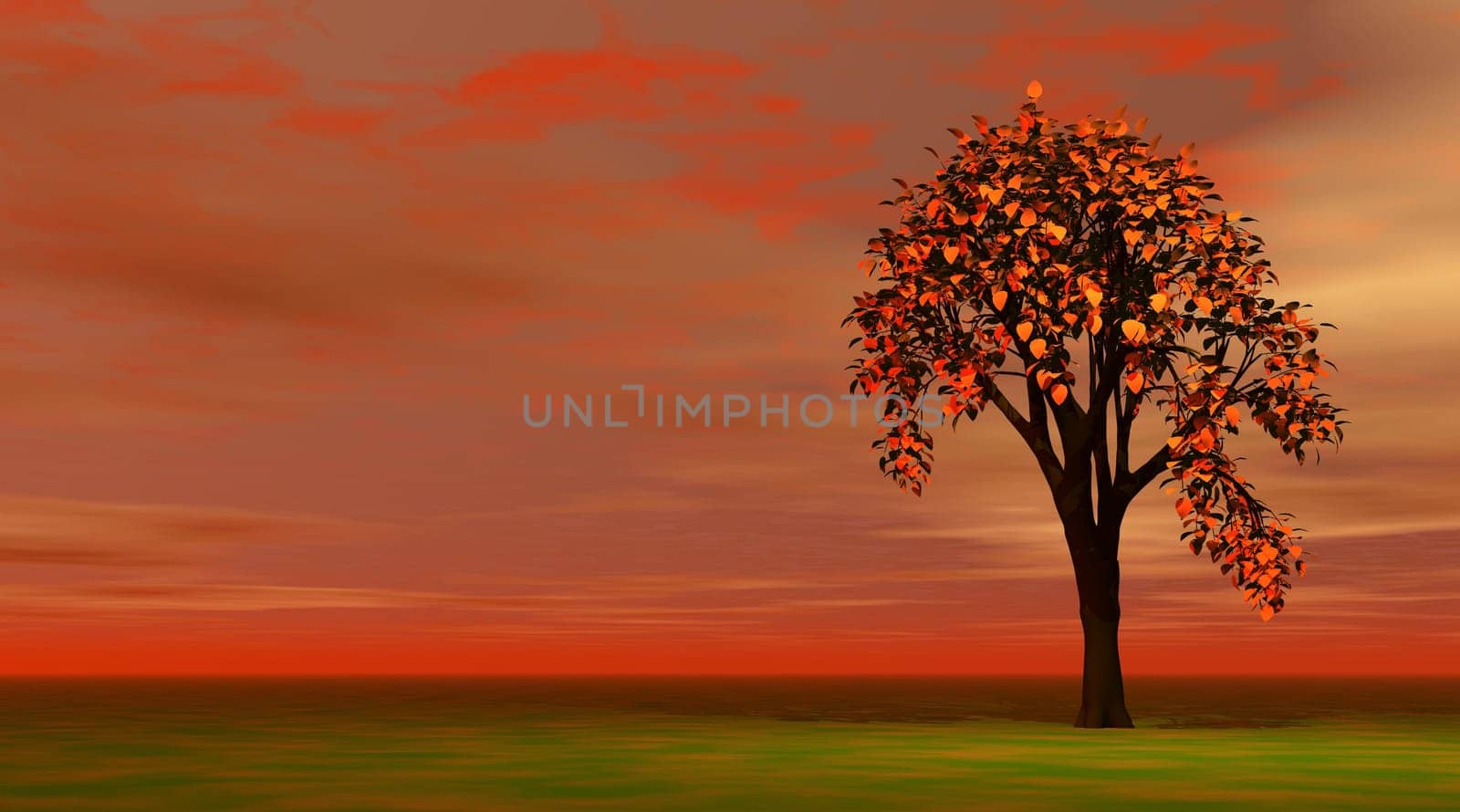 Autumn tree