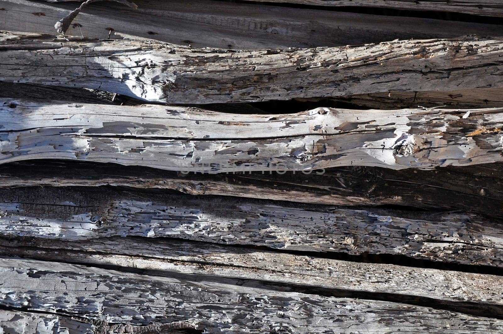 Old Wood