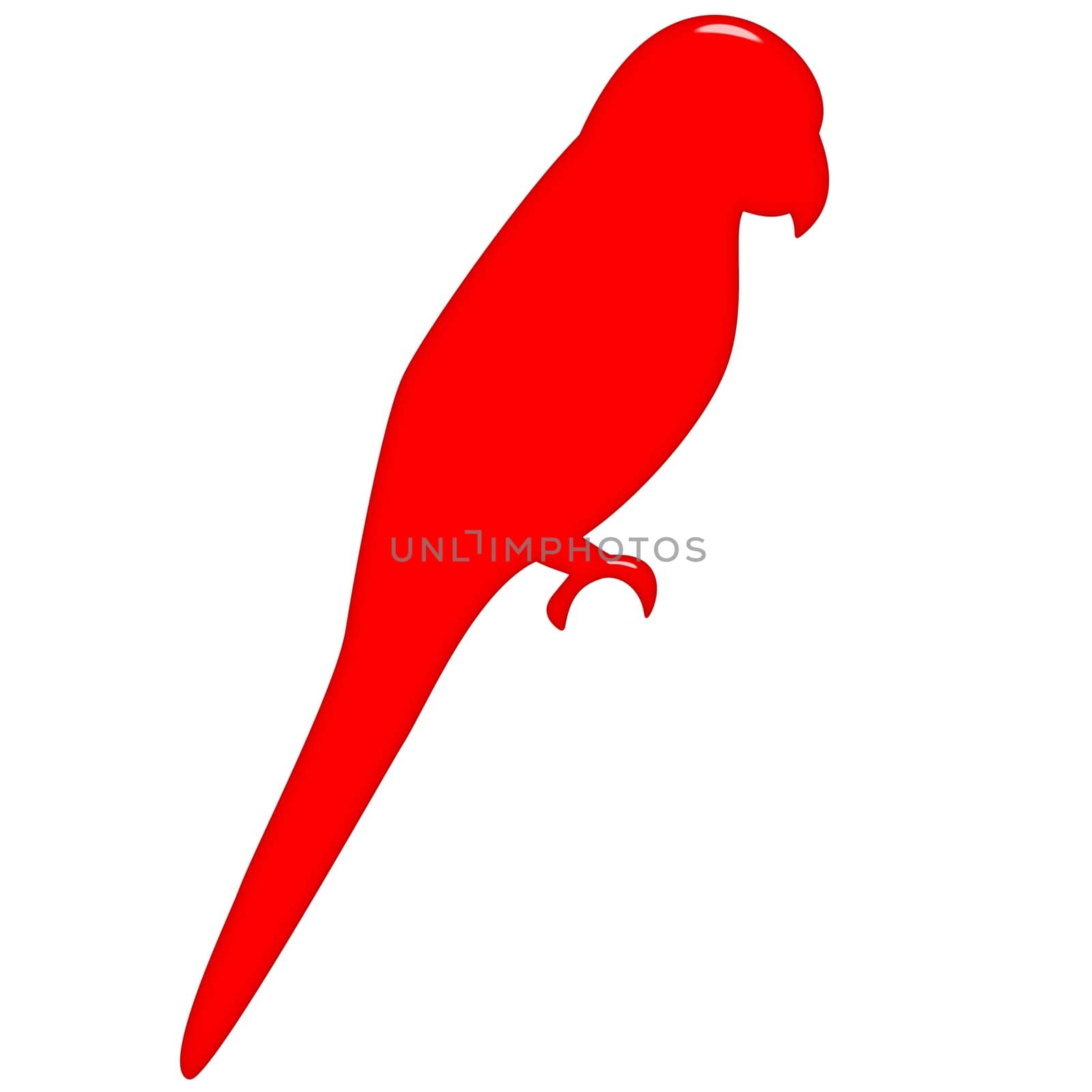 3D Parrot