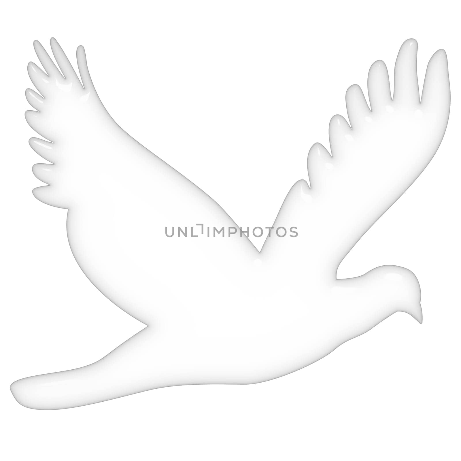 3D Dove
