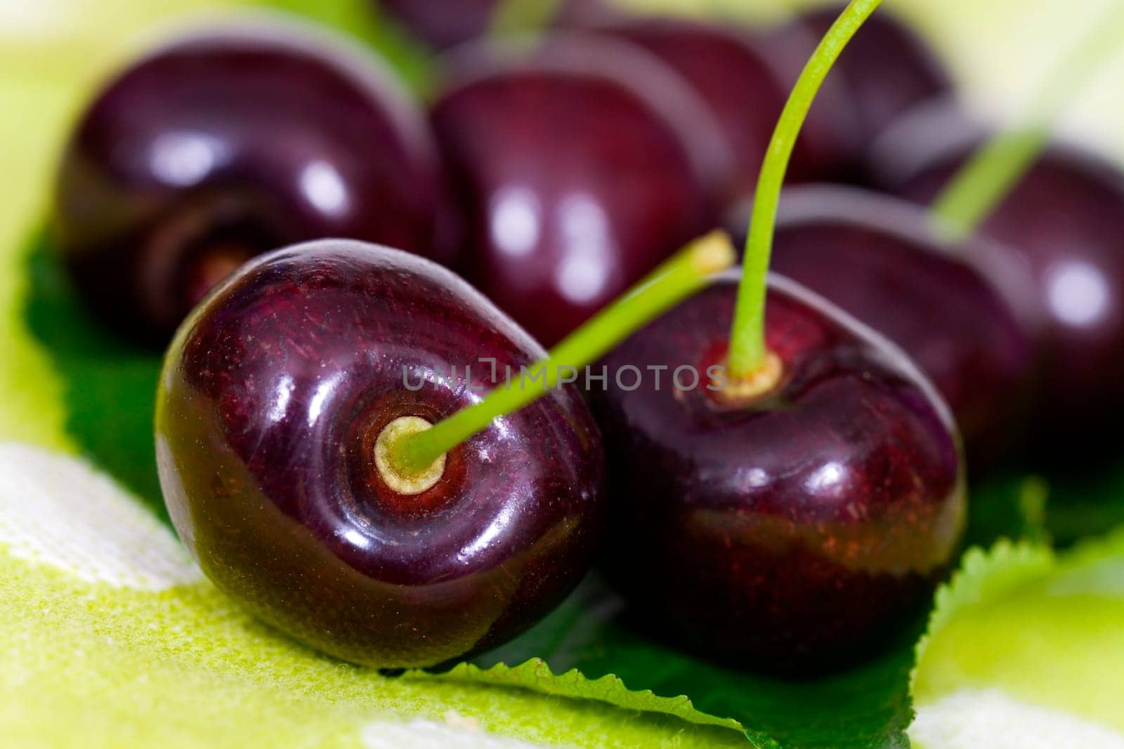 Fresh cherries