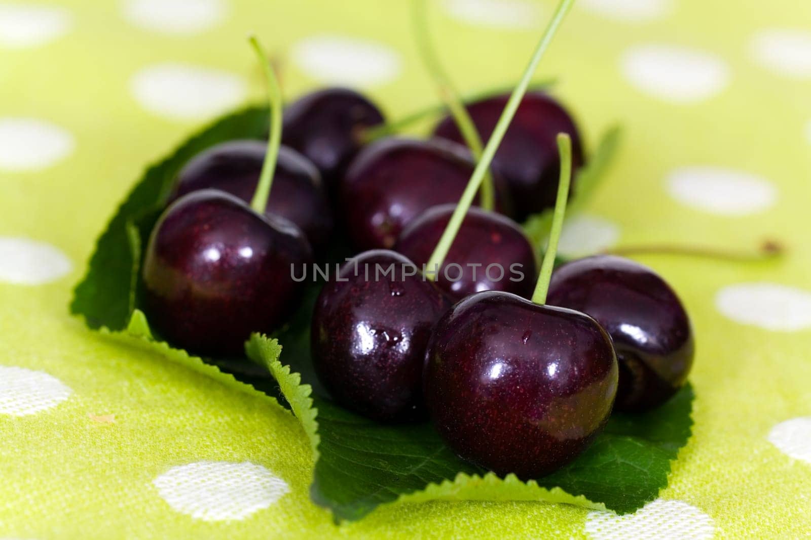 Fresh cherries