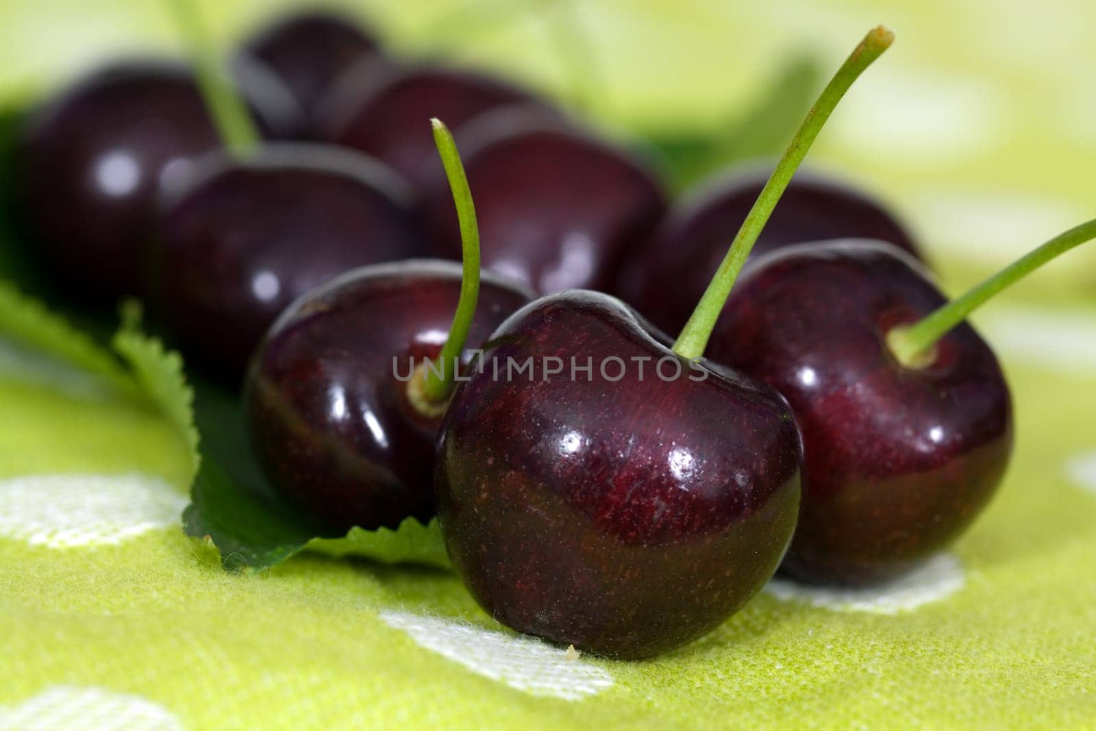 Fresh cherries