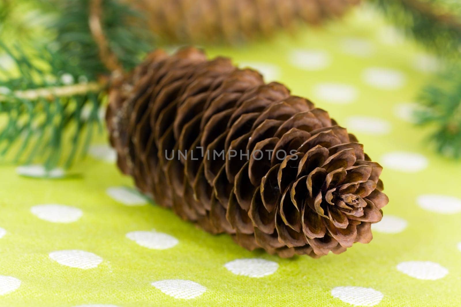 Pine cones with needles