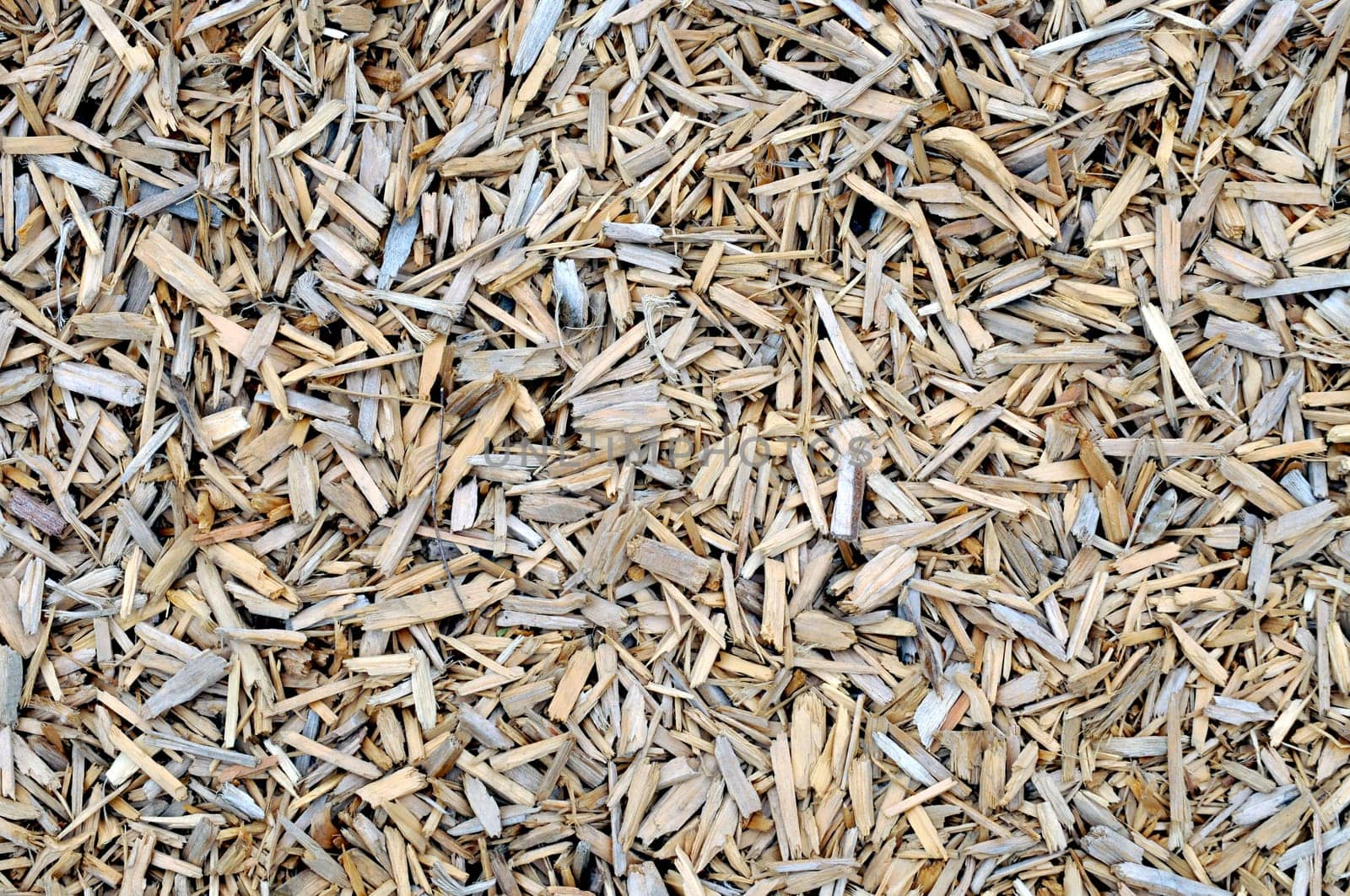 Chipped wood