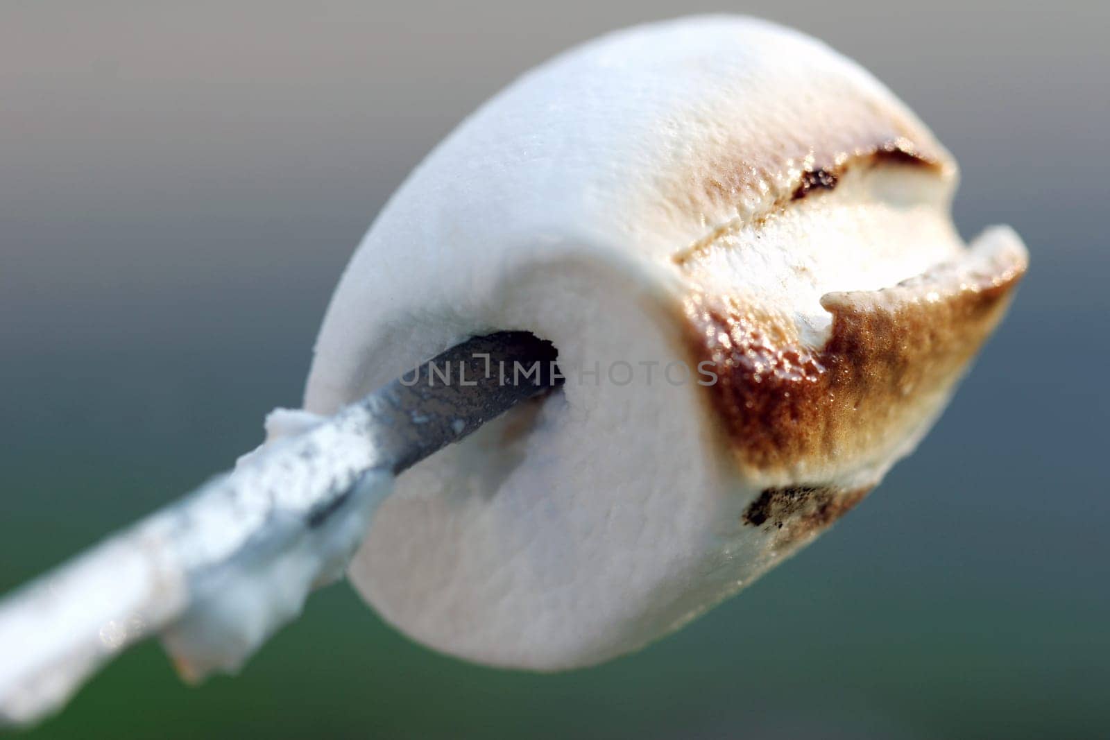 marshmallow