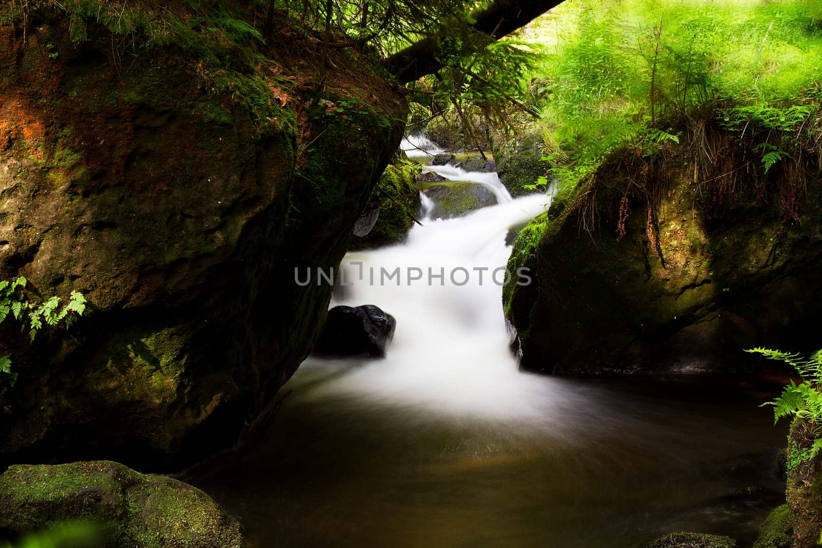 Stream with small waterfall