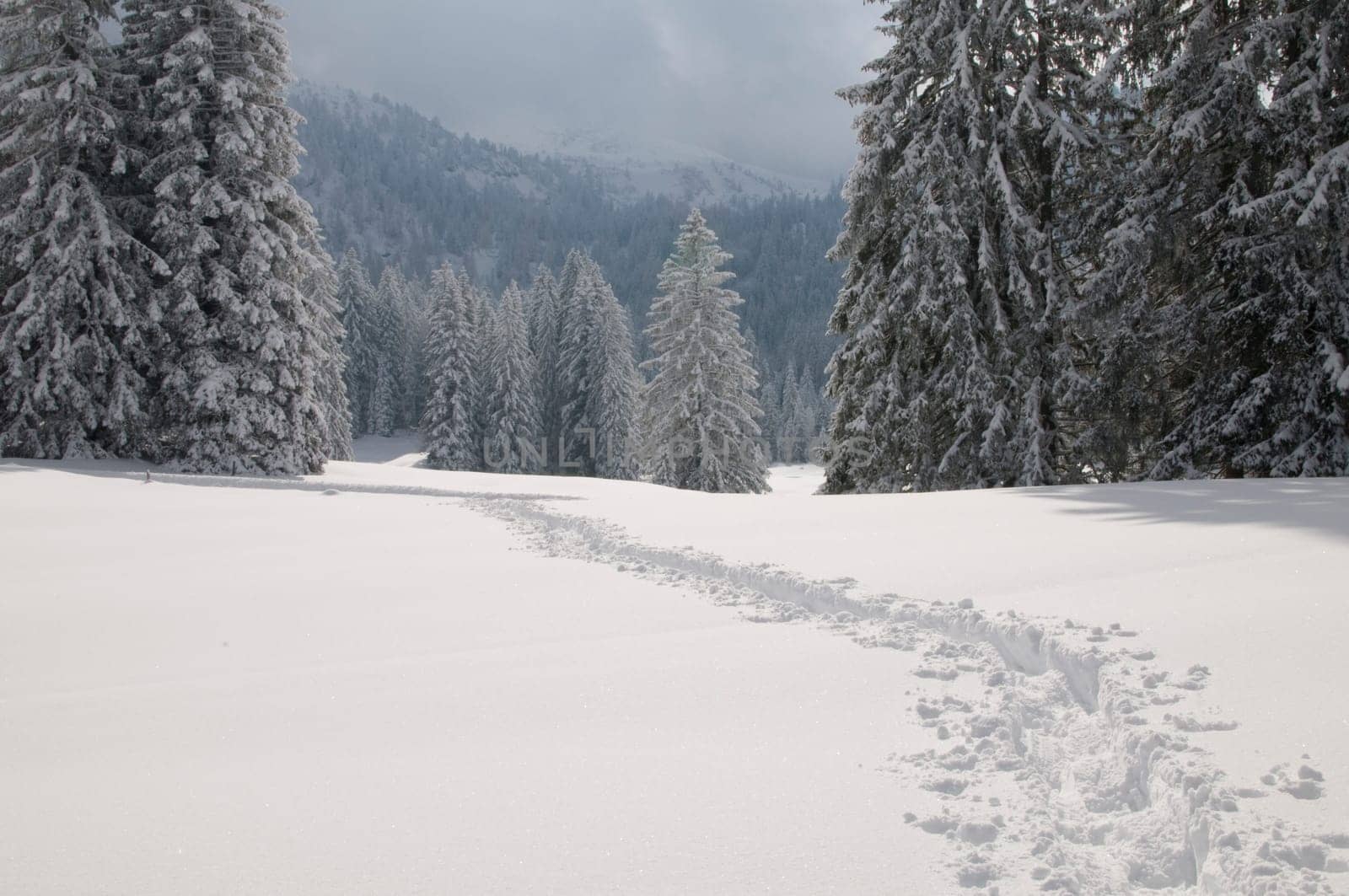 Winter in the Alps