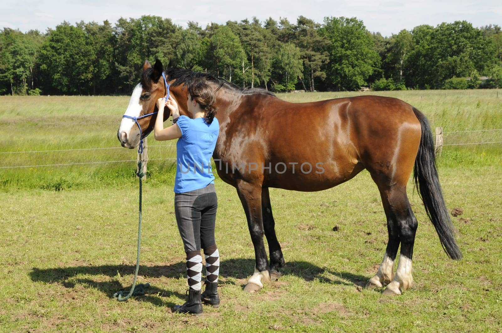 Teenagers with horse
