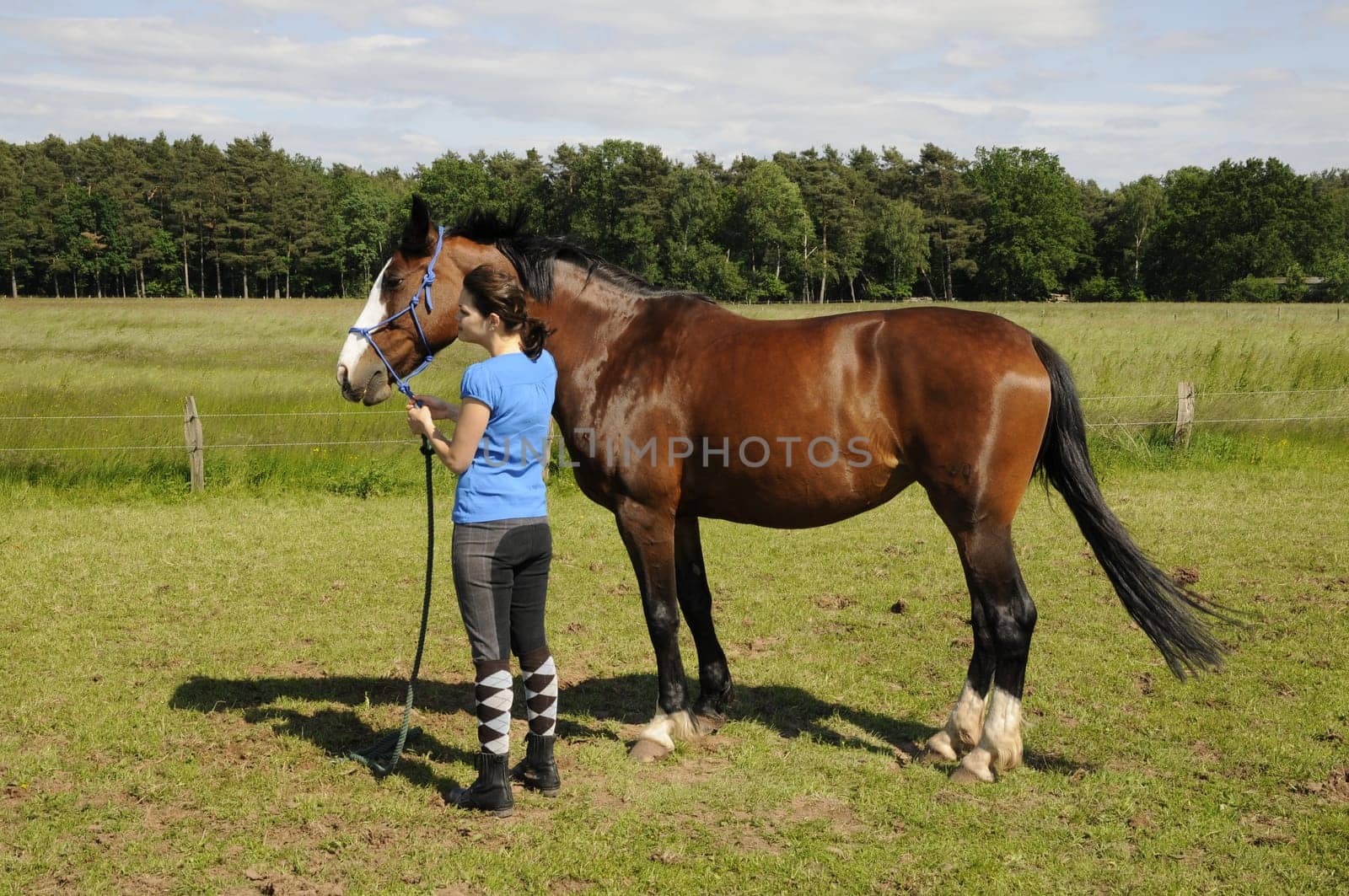 Teenagers with horse