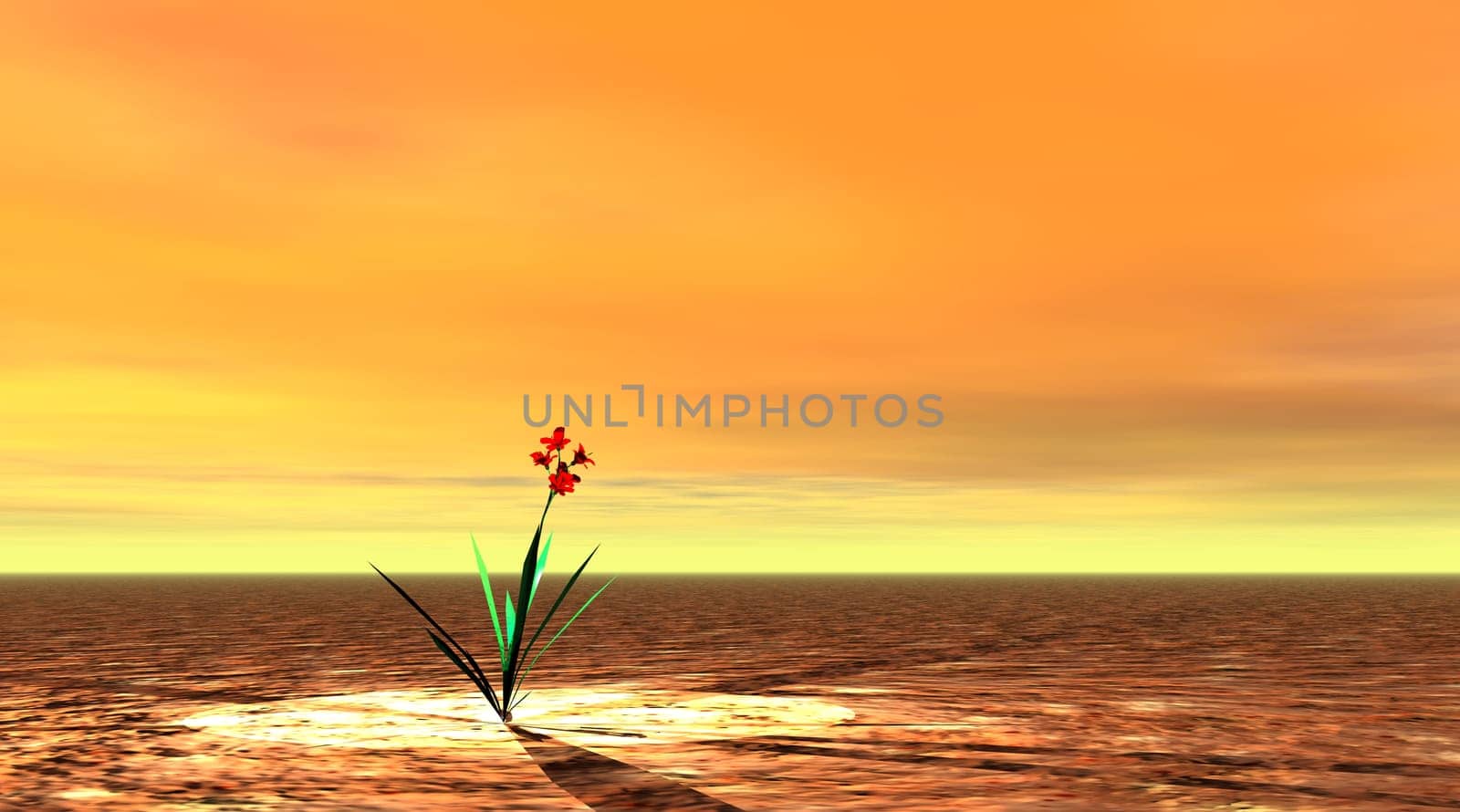 Victory of life
