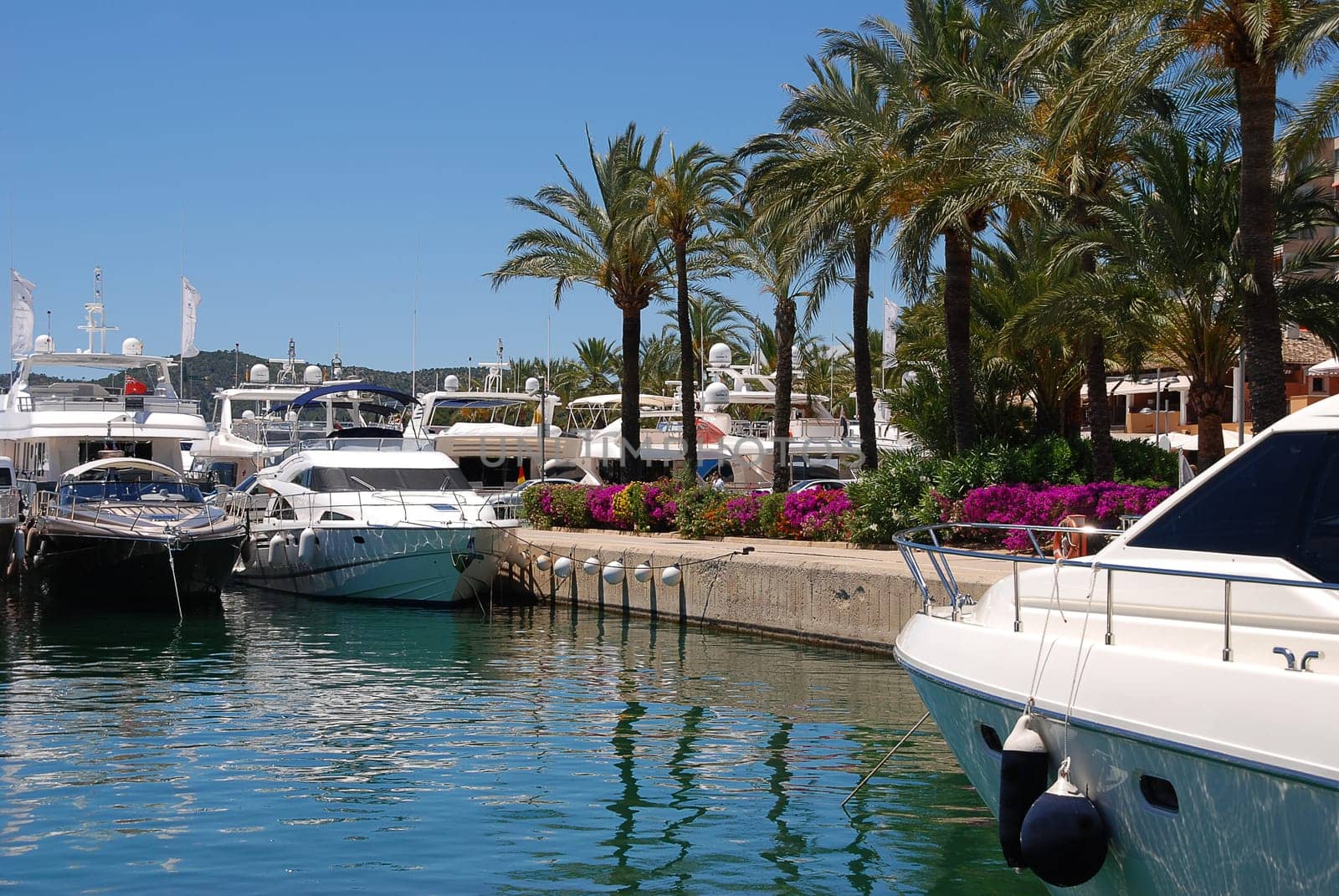 Marina in Mallorca