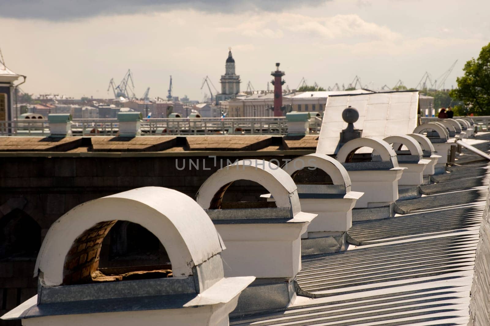 Roof