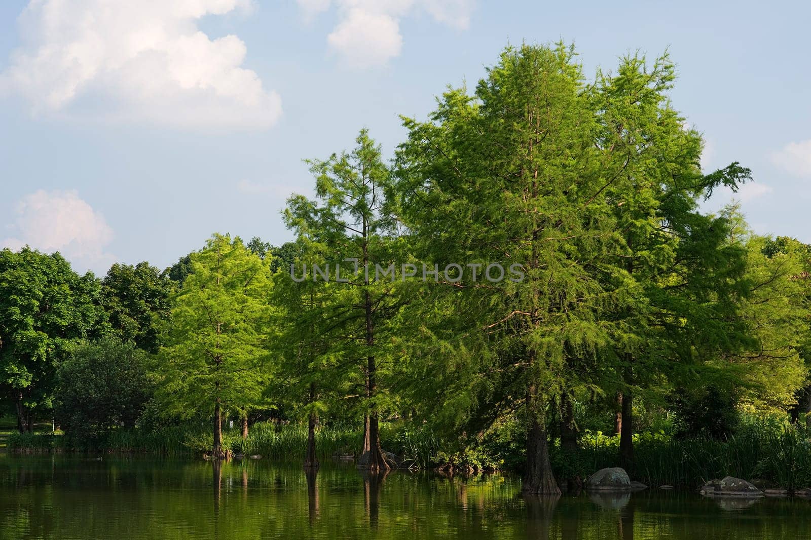 Natural idyll in Munich