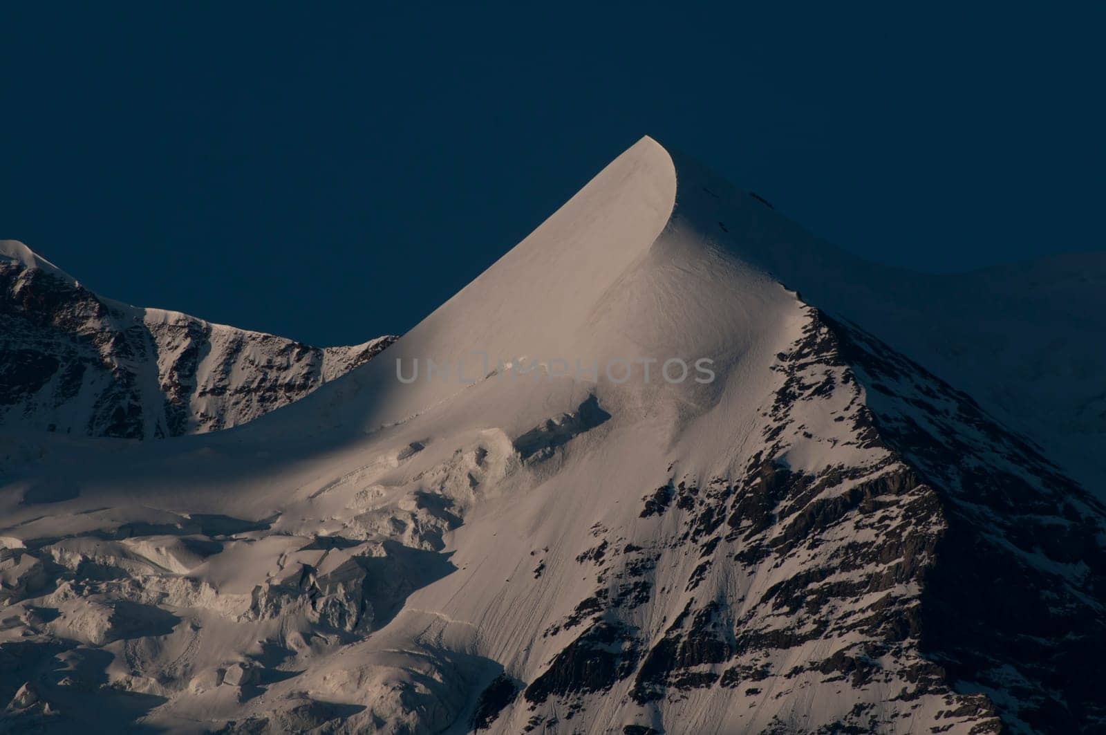 Silver Horn