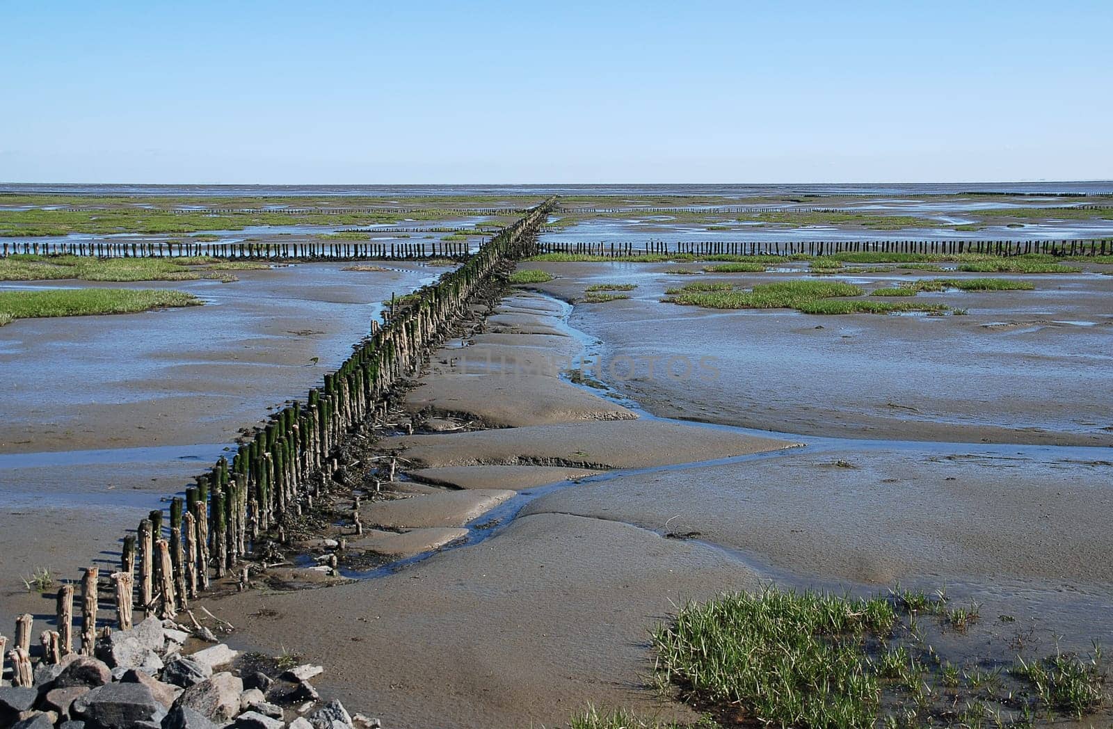 Wadden Sea