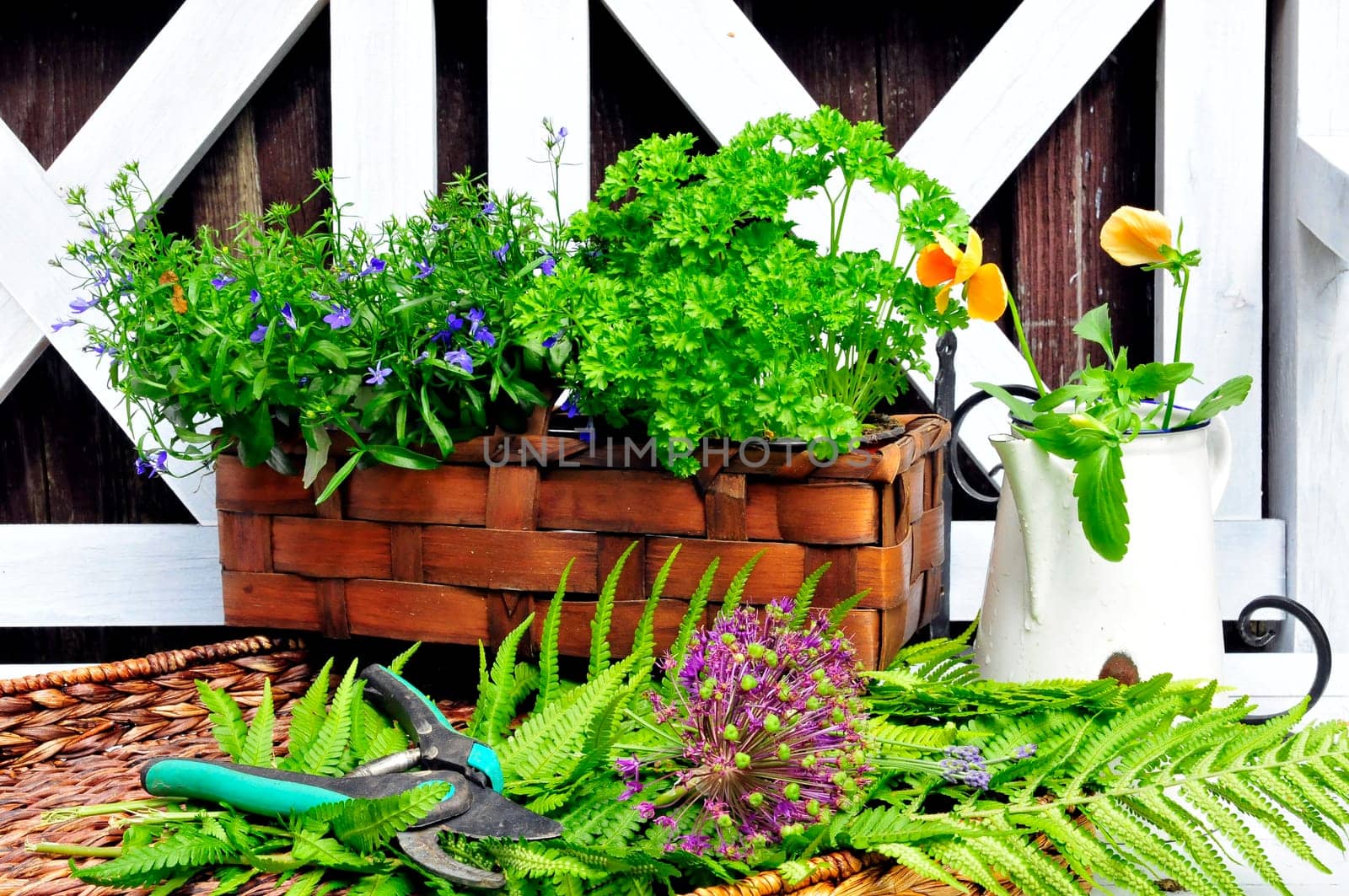 Herb Garden Bench