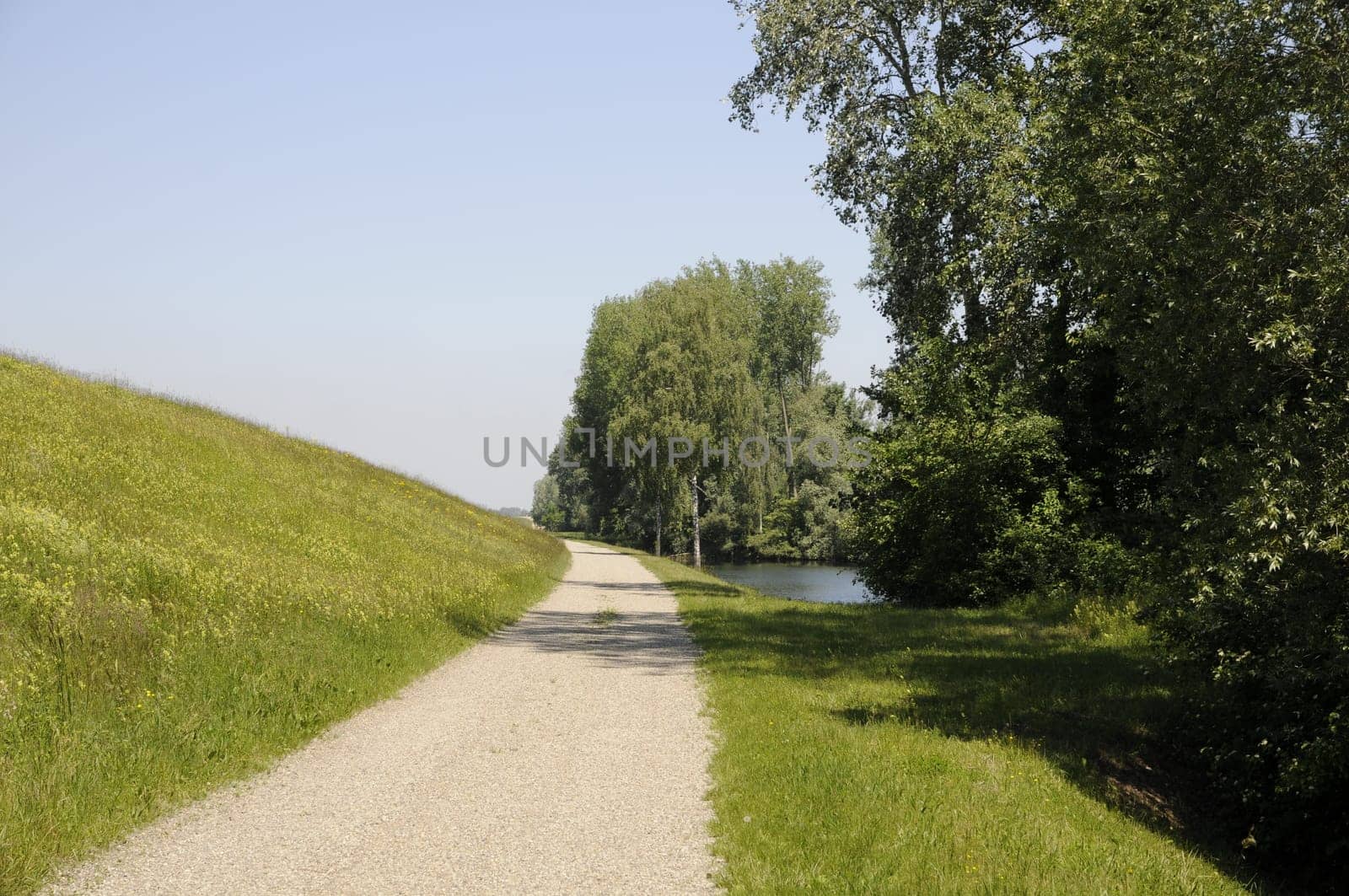 Path along the Rhine near Wittenweier