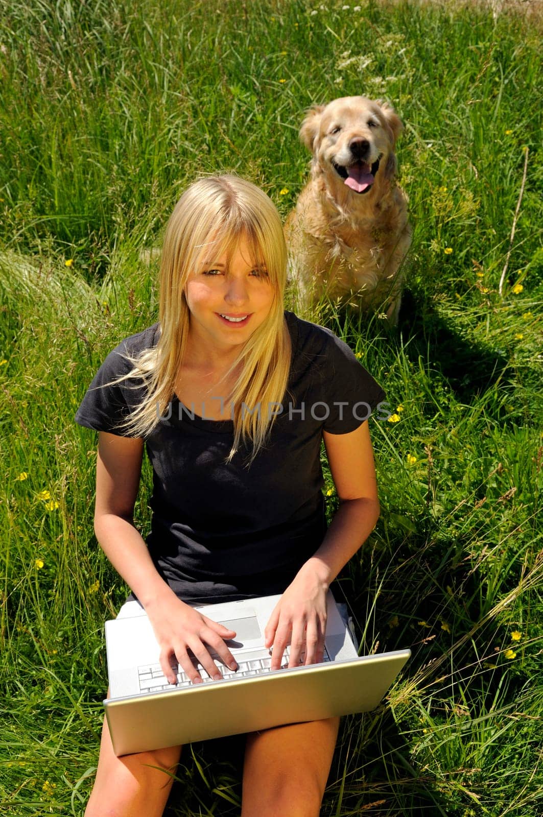 Young woman using laptop on a meadow