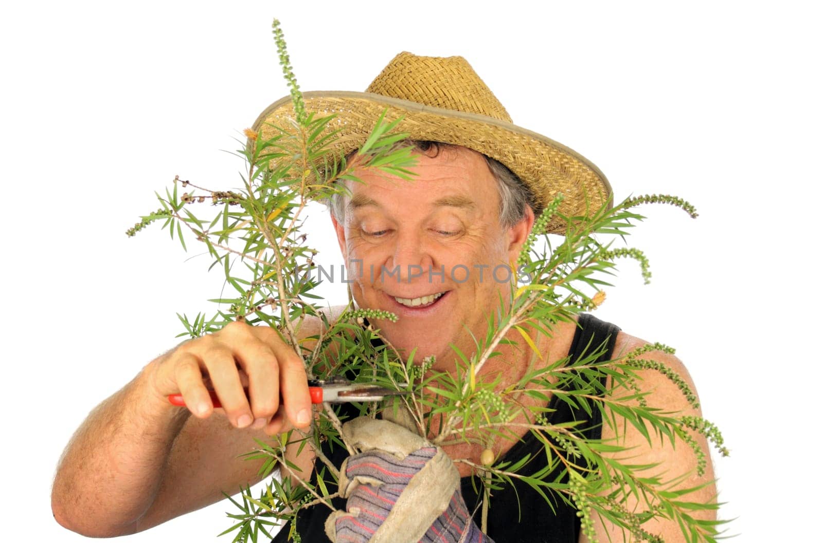 Pruning Gardener