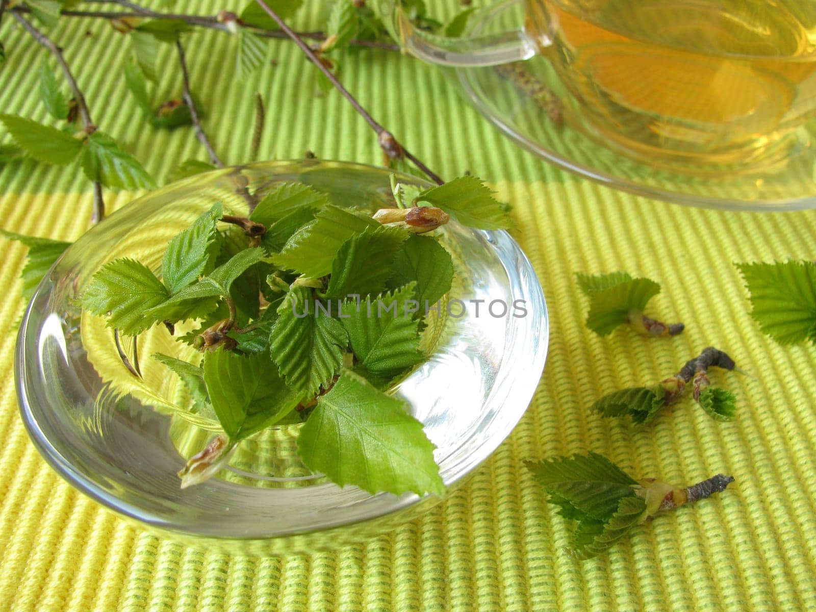Birch Leaf Tea