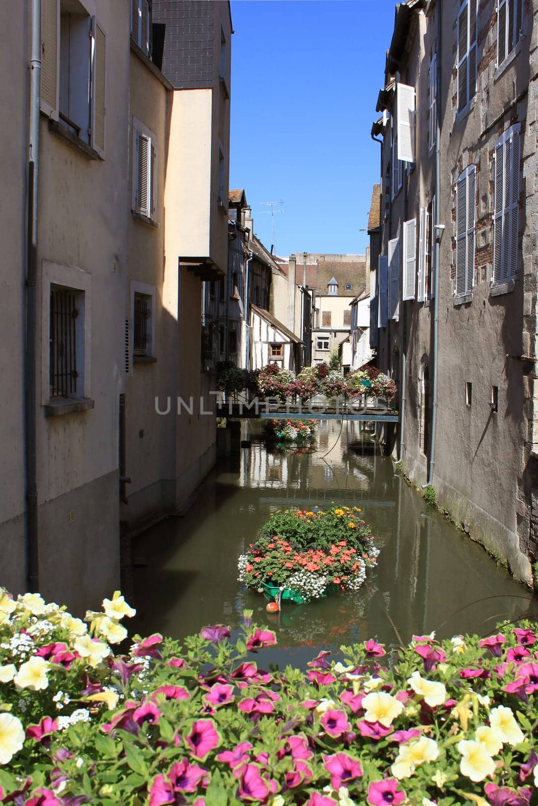 flowered bridge