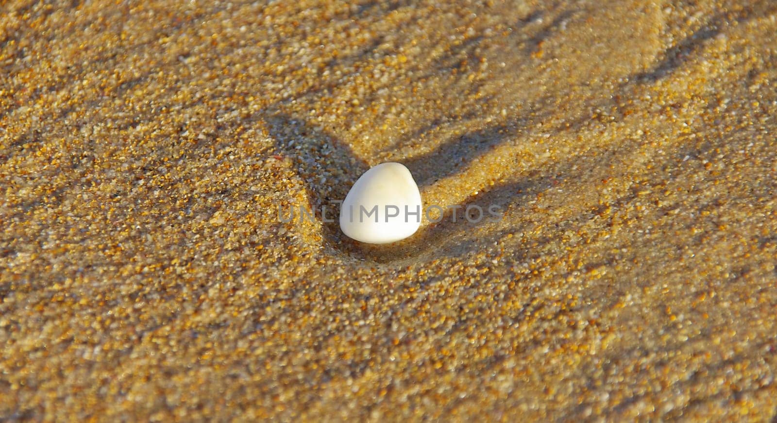 pebble