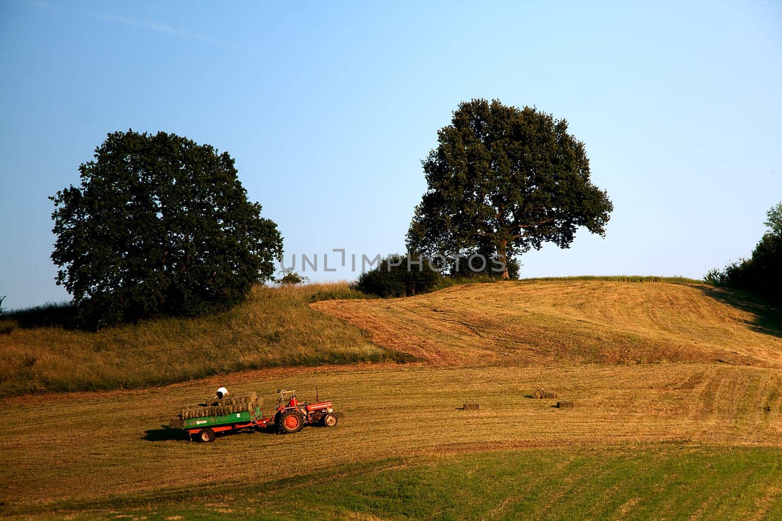 Haymaking
