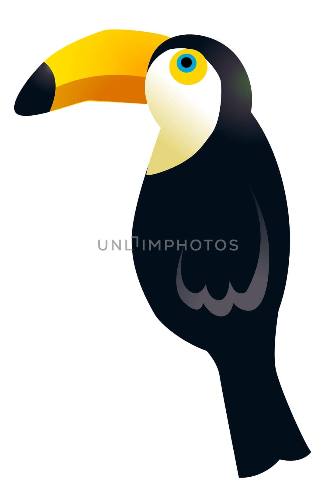 Tropical Bird