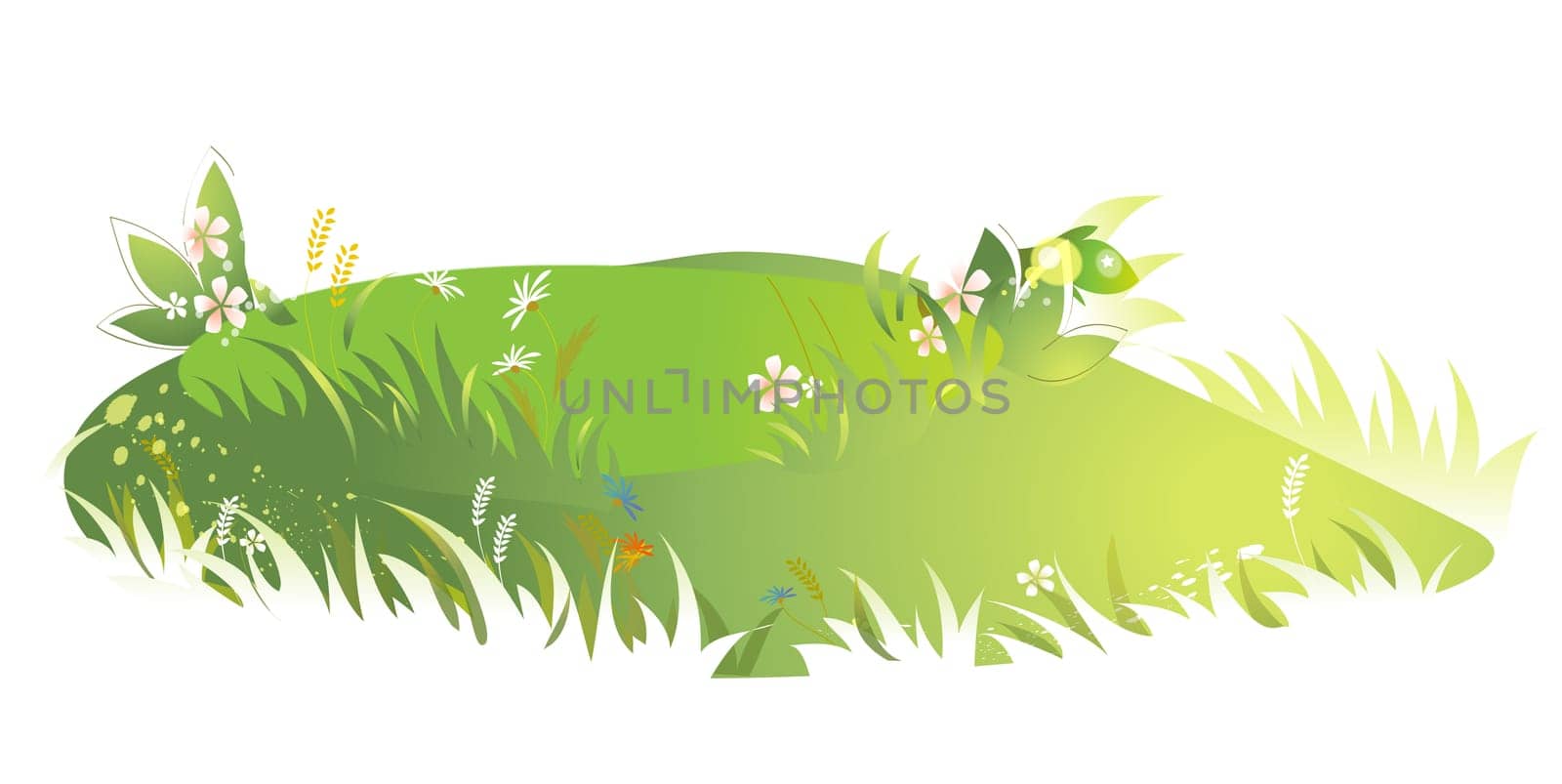 lawn and wild flower