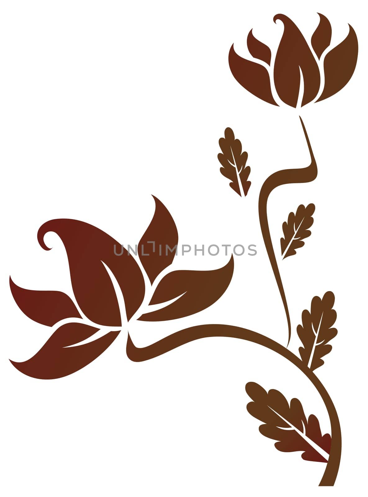 a flower pattern