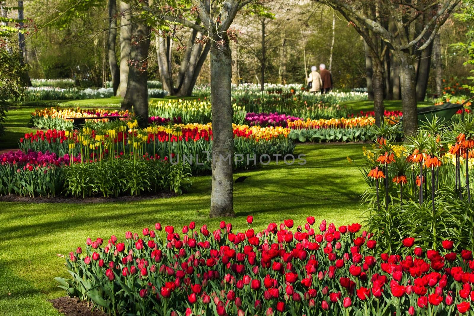 Colorful park in spring