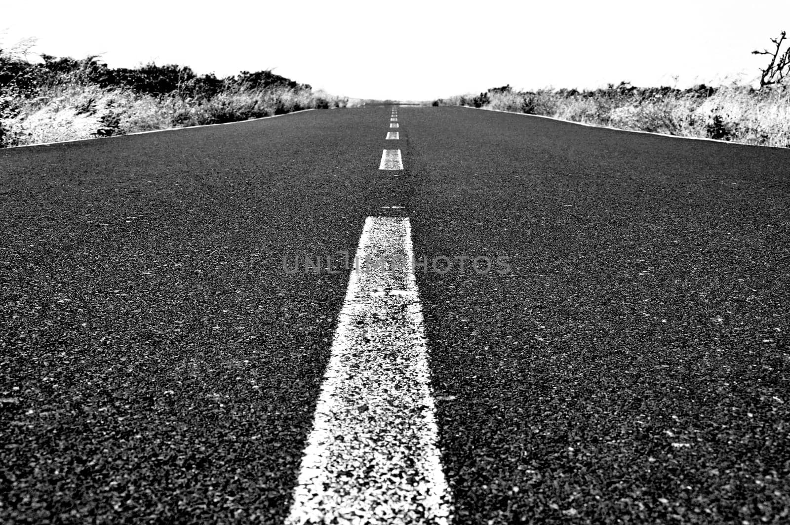 Road to Nowhere
