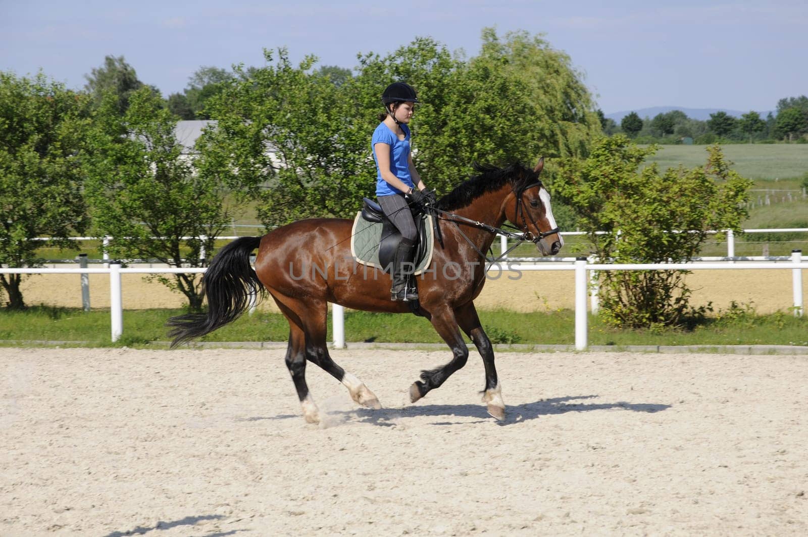 Gallop