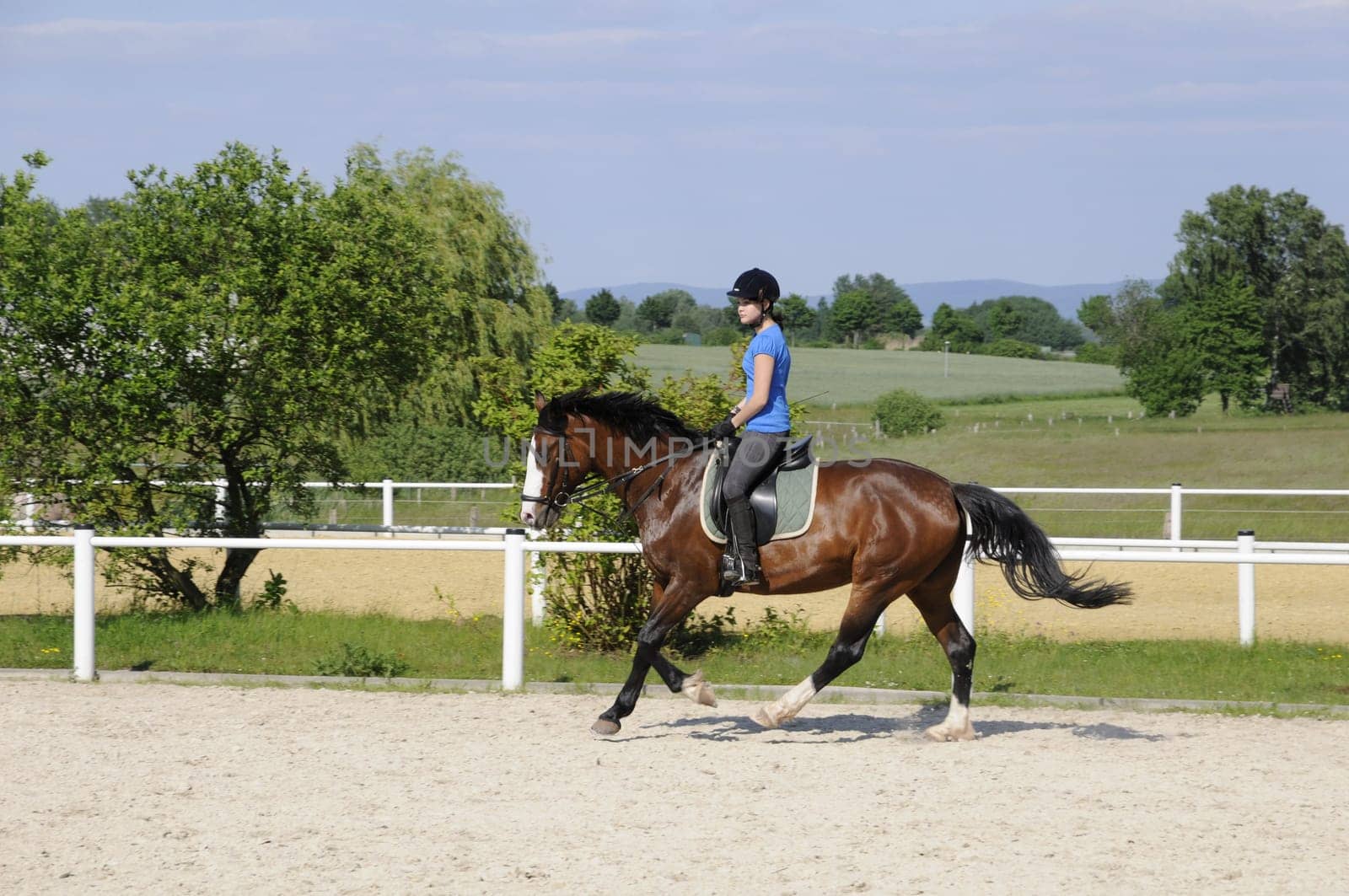 Gallop