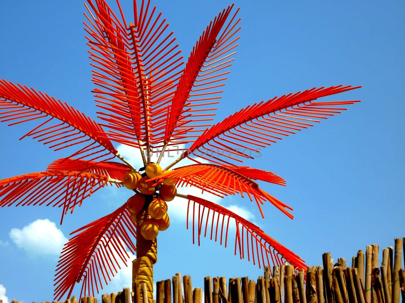 Palm tree
