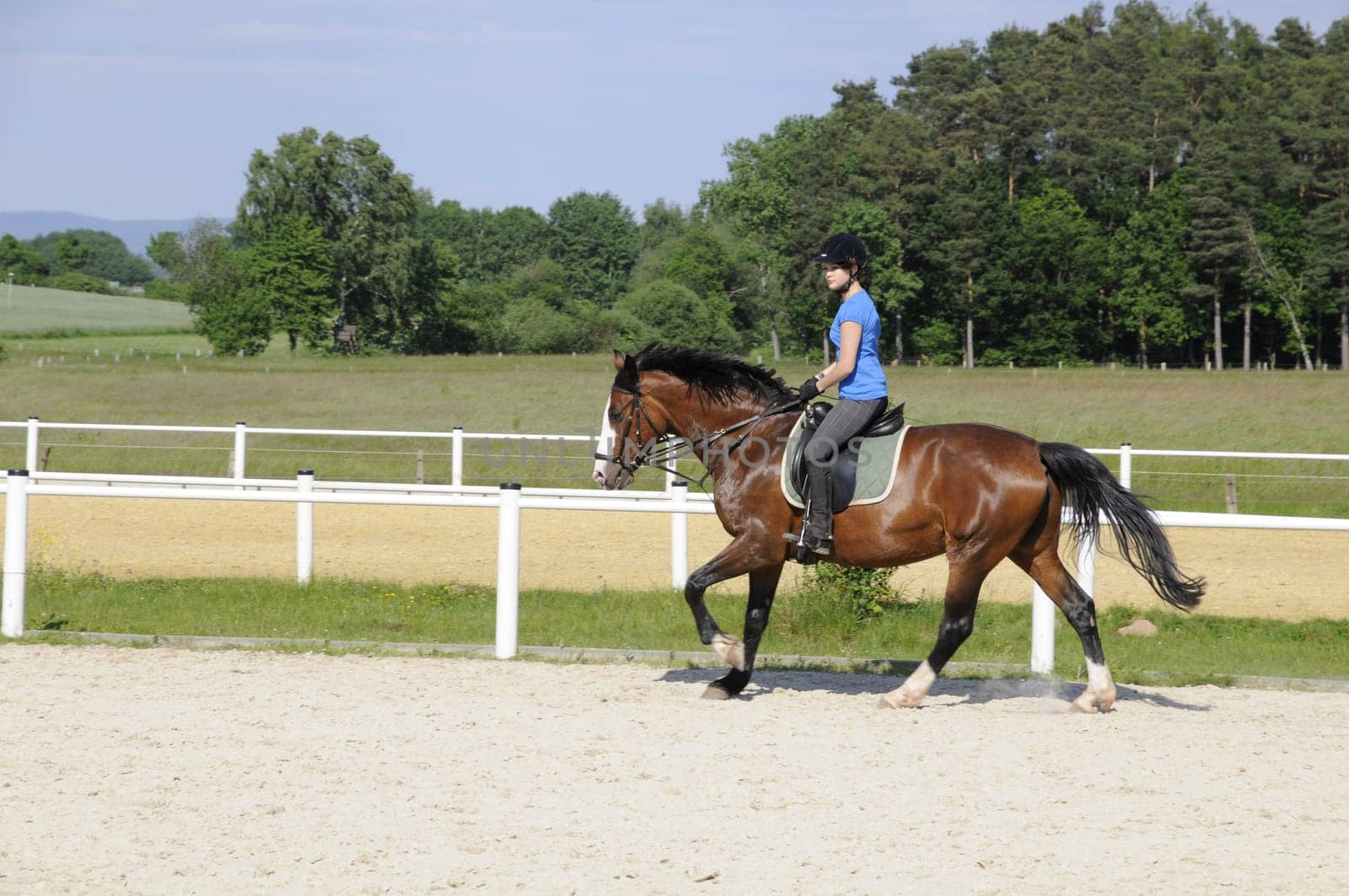 Gallop