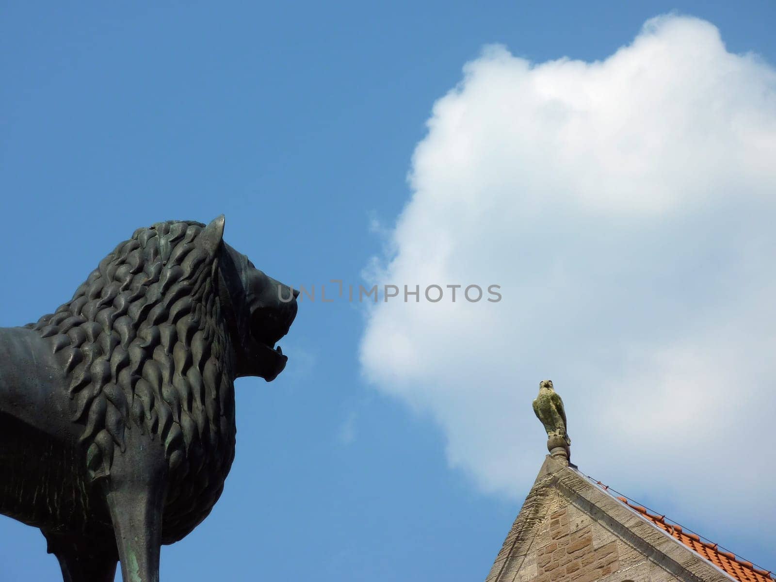 Brunswick Lion