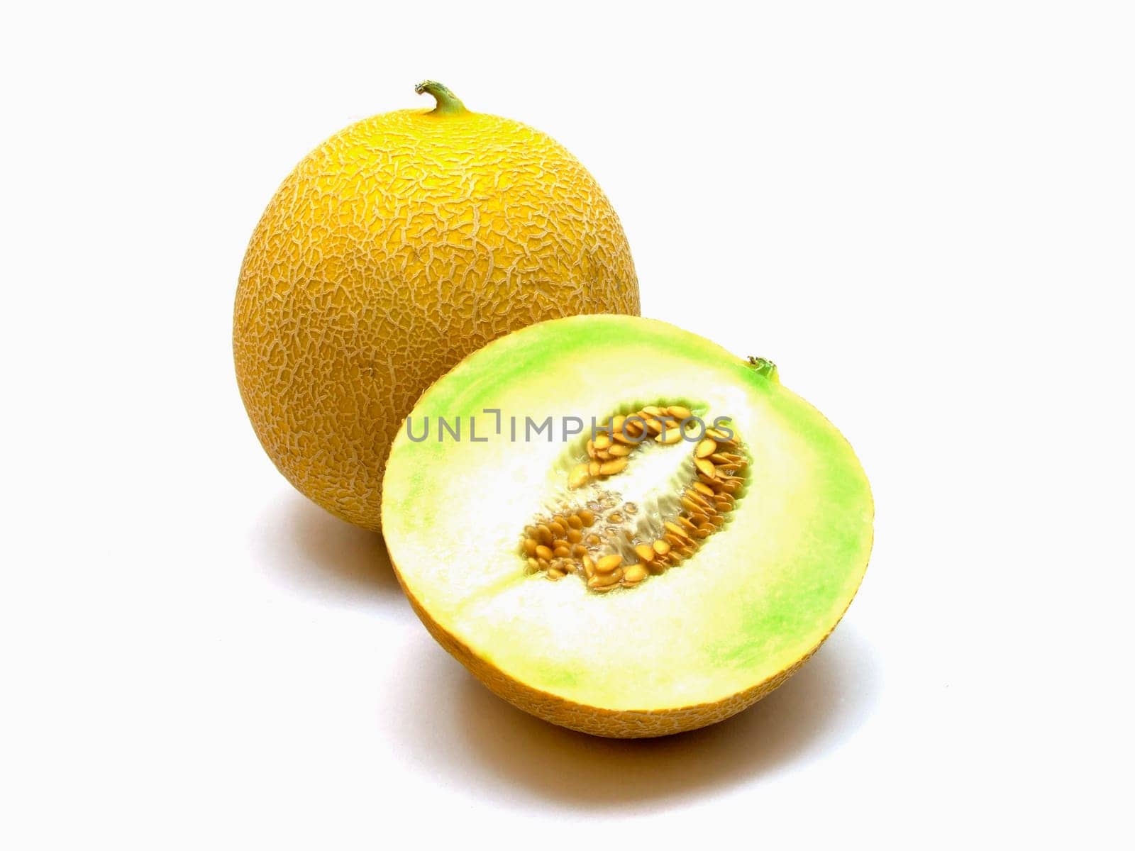 Galia melon (cucumis melo)