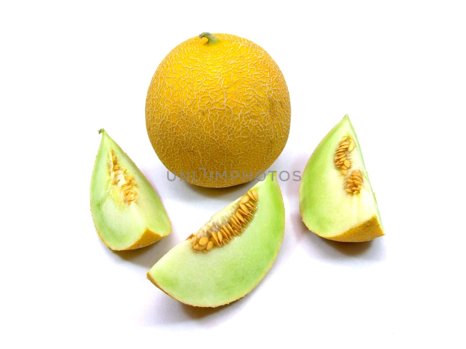 Galia melon (cucumis melo)